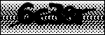 Text per identificar