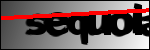 Text per identificar