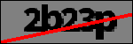 Text per identificar