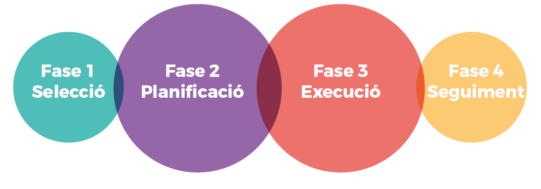 Fases del programa