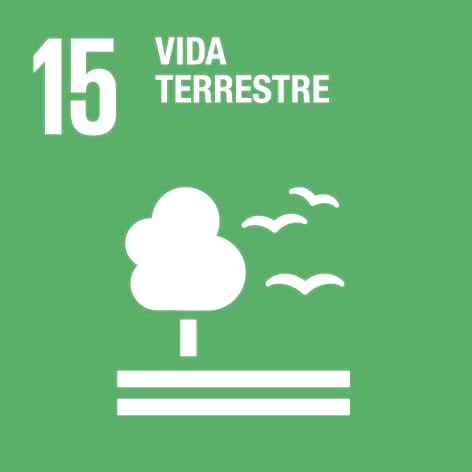 Vida terrestre