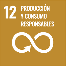 Consumo y producción responsables