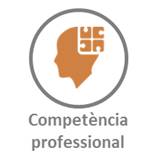 Competència professional Competència professional