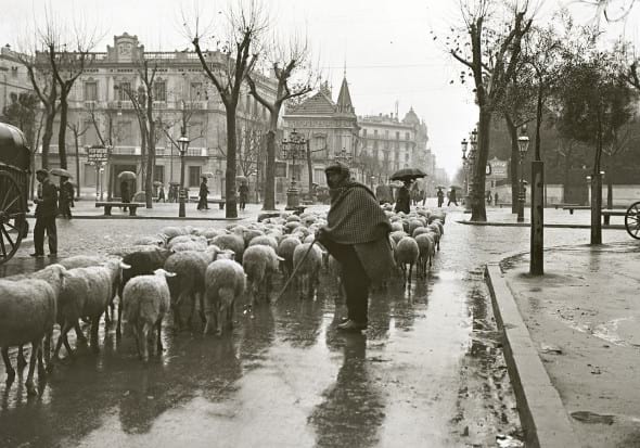 Ramat Passeig de Gràcia Ramat Passeig de Gràcia