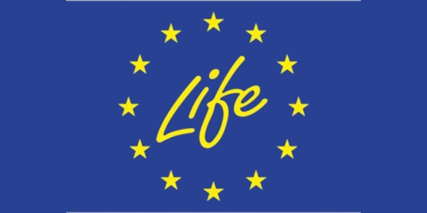 Font: Comissió Europea