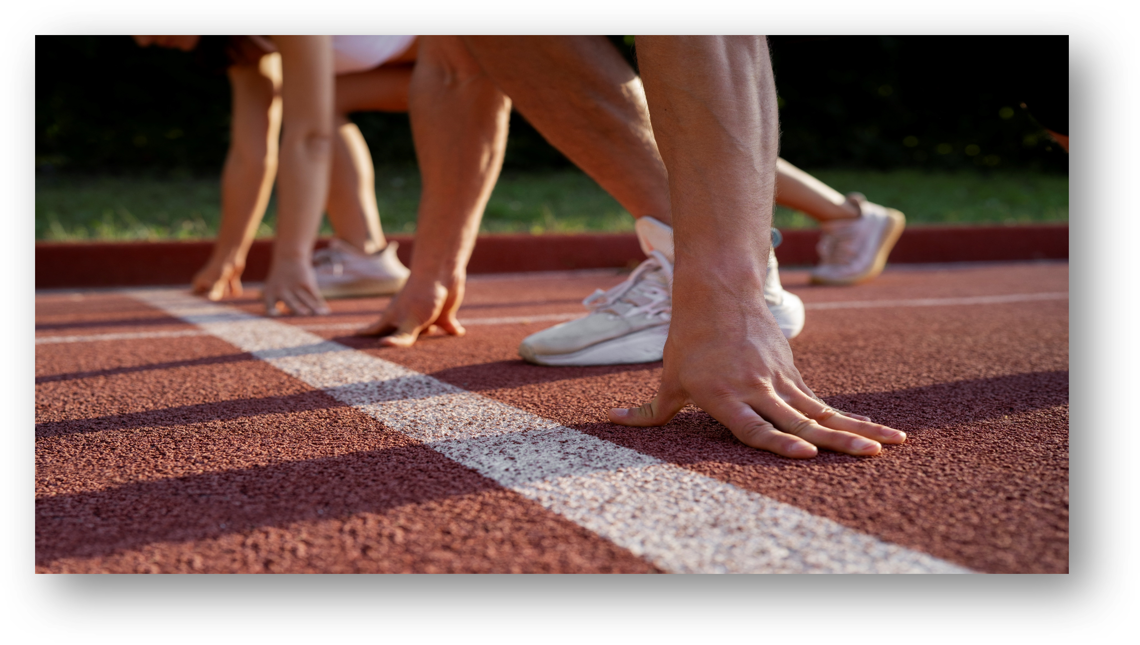 Autoritat Independent de Protecció a l'Informant