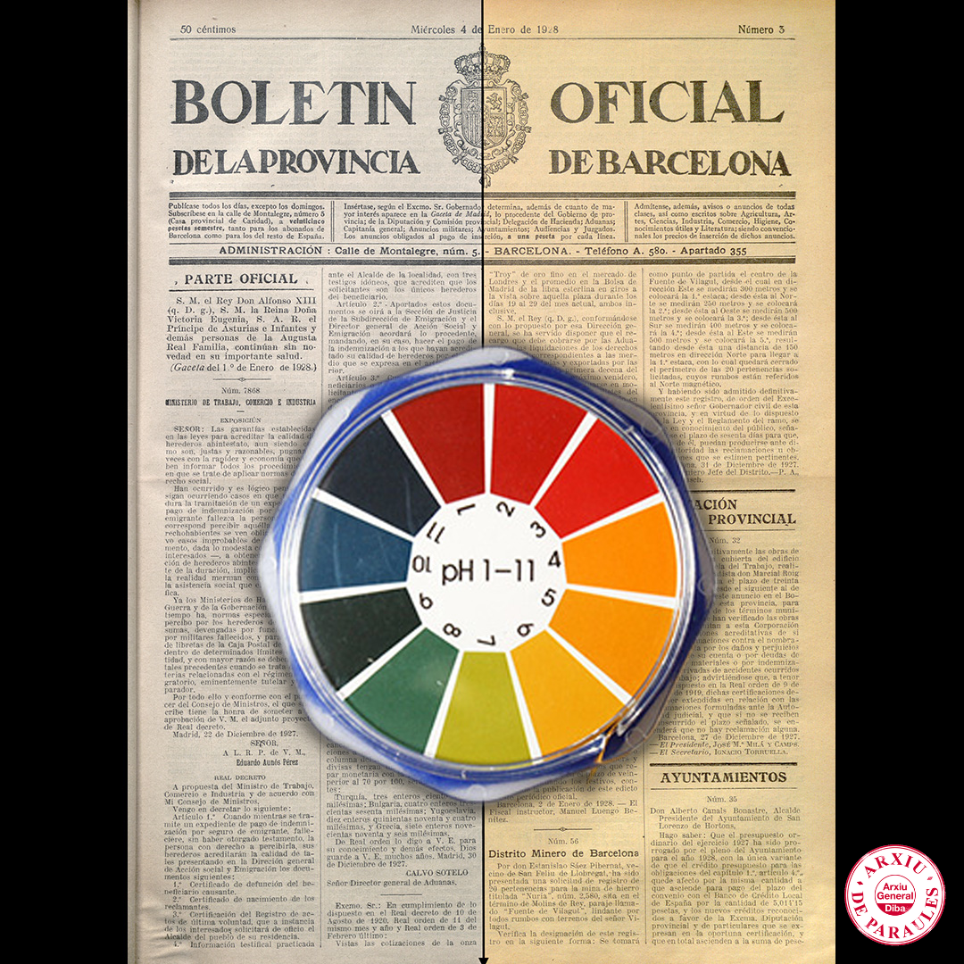 Fotomuntatge del Boletín Oficial de la Provincia amb una part de la imatge esgrogueïda