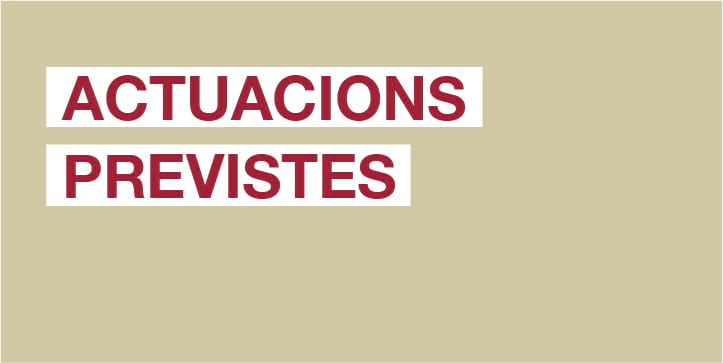 Actuacions previstes