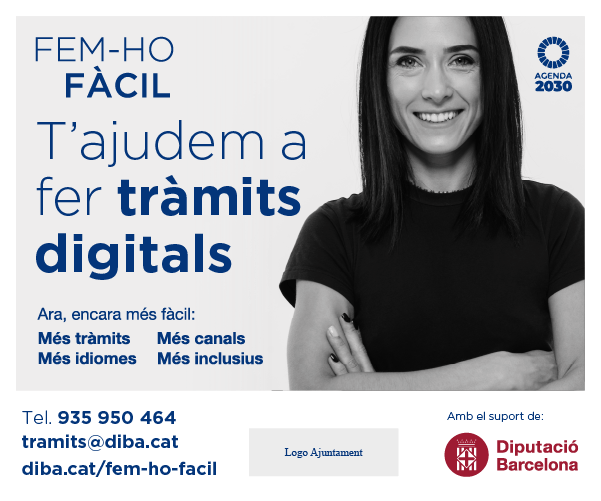 300x250 serveis mes inclusius