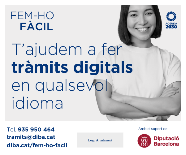 300x250 idioma català