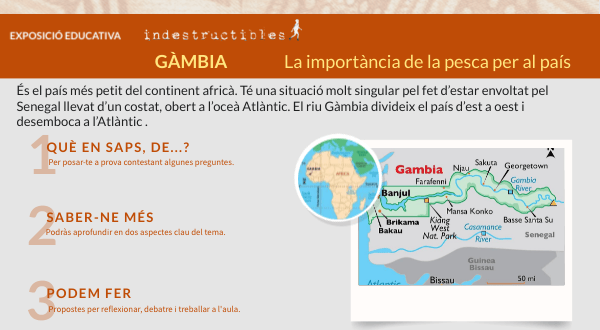 Gàmbia. La importància de la pesca per al país