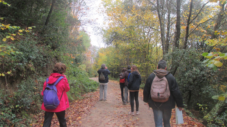 El Parc del Montnegre i el Corredor programa més d'una trentena de Passejades guiades durant el 2026. Foto: Maria Famadas