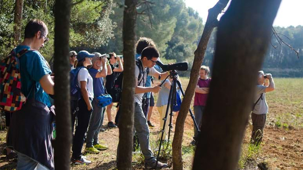 Una activitat de primavera per celebrar el Dia Europeu dels Parcs. Foto: Diputació de Barcelona