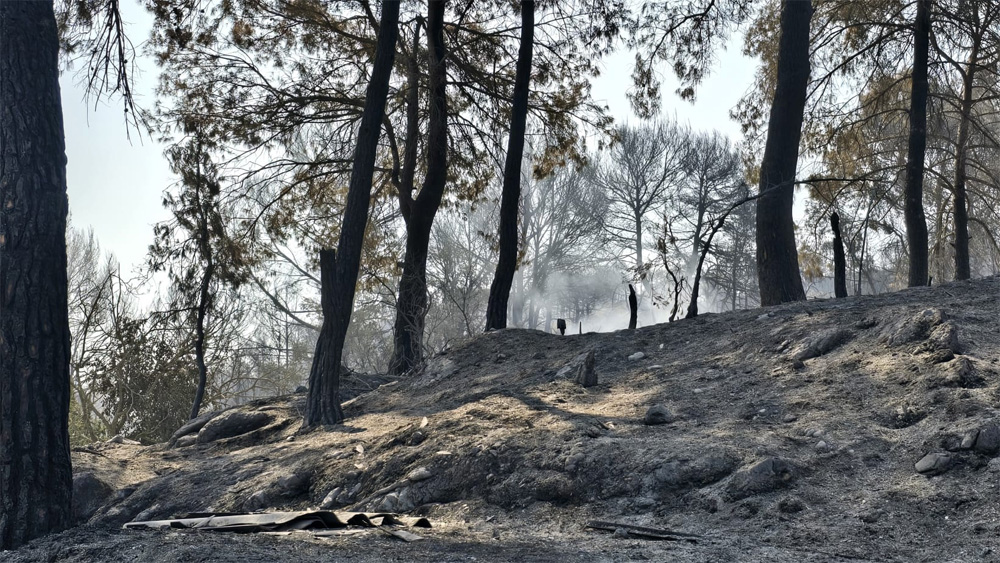 L'incendi de Carme de juliol de 2026 va cremar 508,59 hectàrees. Foto: Pedro Carballal / Diputació de Barcelona