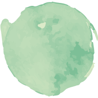 Planidicar/a