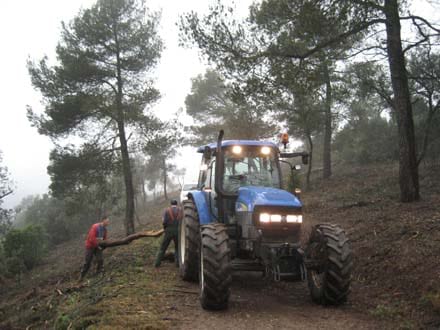 Imatge del projecte