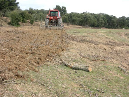 Imatge del projecte