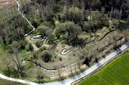 Fitxa del projecte Imatge del projecte