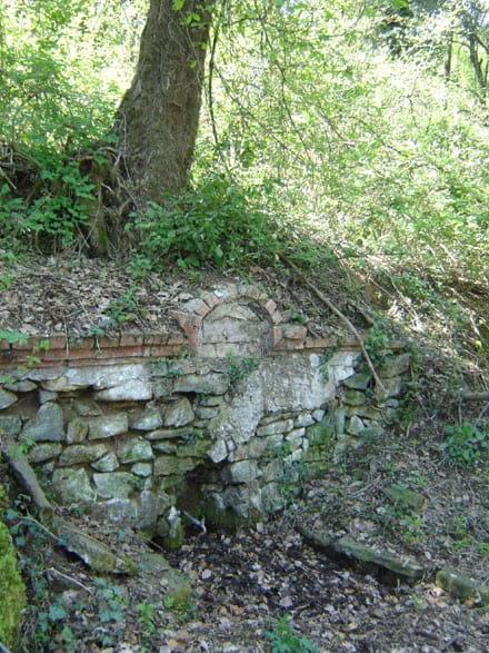 Galeria imatges Imatge del projecte