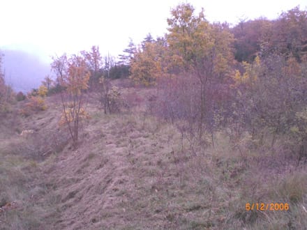 Fitxa del projecte Imatge del projecte