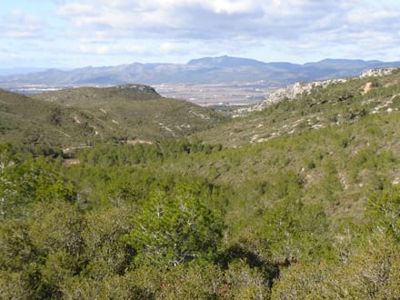 Fitxa del projecte Imatge del projecte