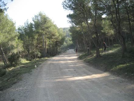 Imatge del projecte