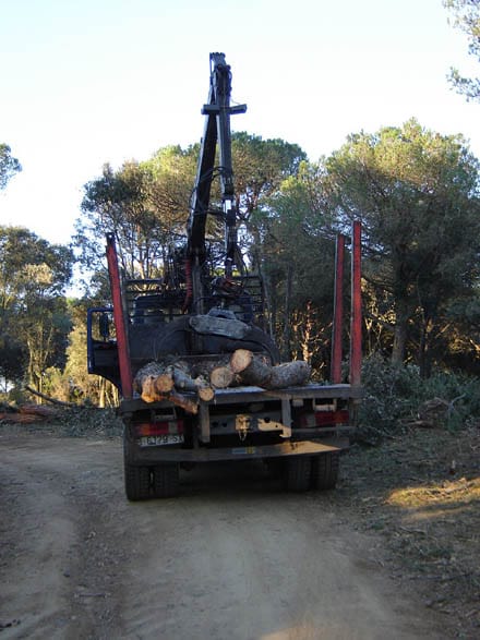 Imatge del projecte