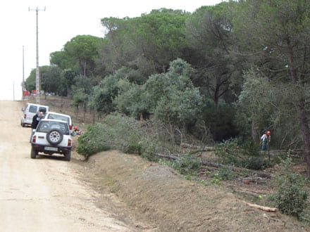 Fitxa del projecte Imatge del projecte