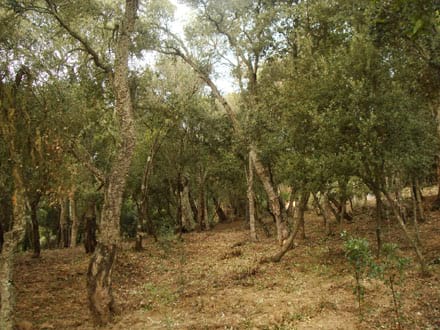Fitxa del projecte Imatge del projecte