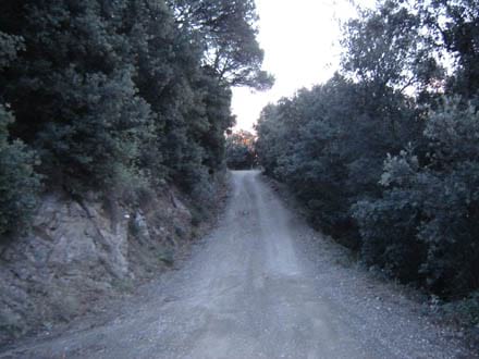 Fitxa del projecte Imatge del projecte