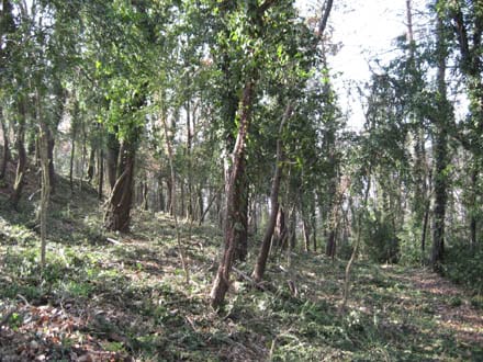 Fitxa del projecte Imatge del projecte