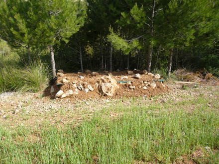 Imatge del projecte