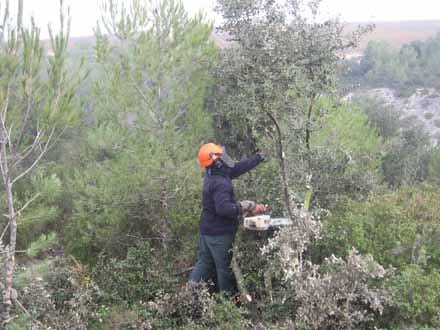 Fitxa del projecte Imatge del projecte