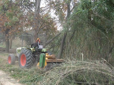 Imatge del projecte