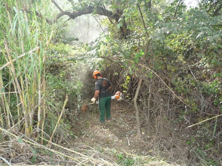 Fitxa del projecte Imatge del projecte