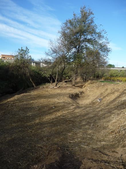 Imatge del projecte
