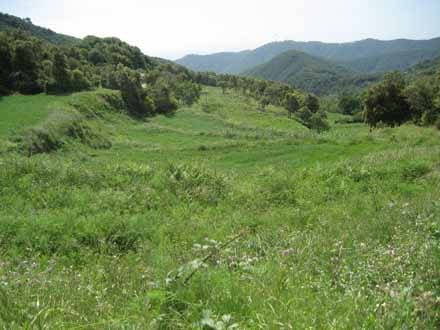 Fitxa del projecte Imatge del projecte
