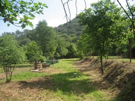 Imatge del projecte