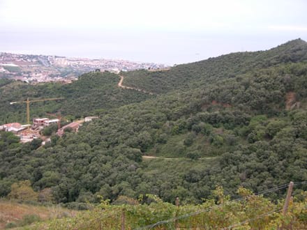 Fitxa del projecte Imatge del projecte