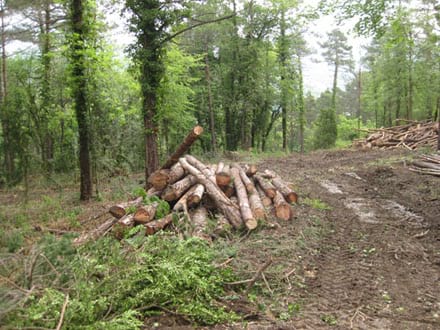 Fitxa del projecte Imatge del projecte