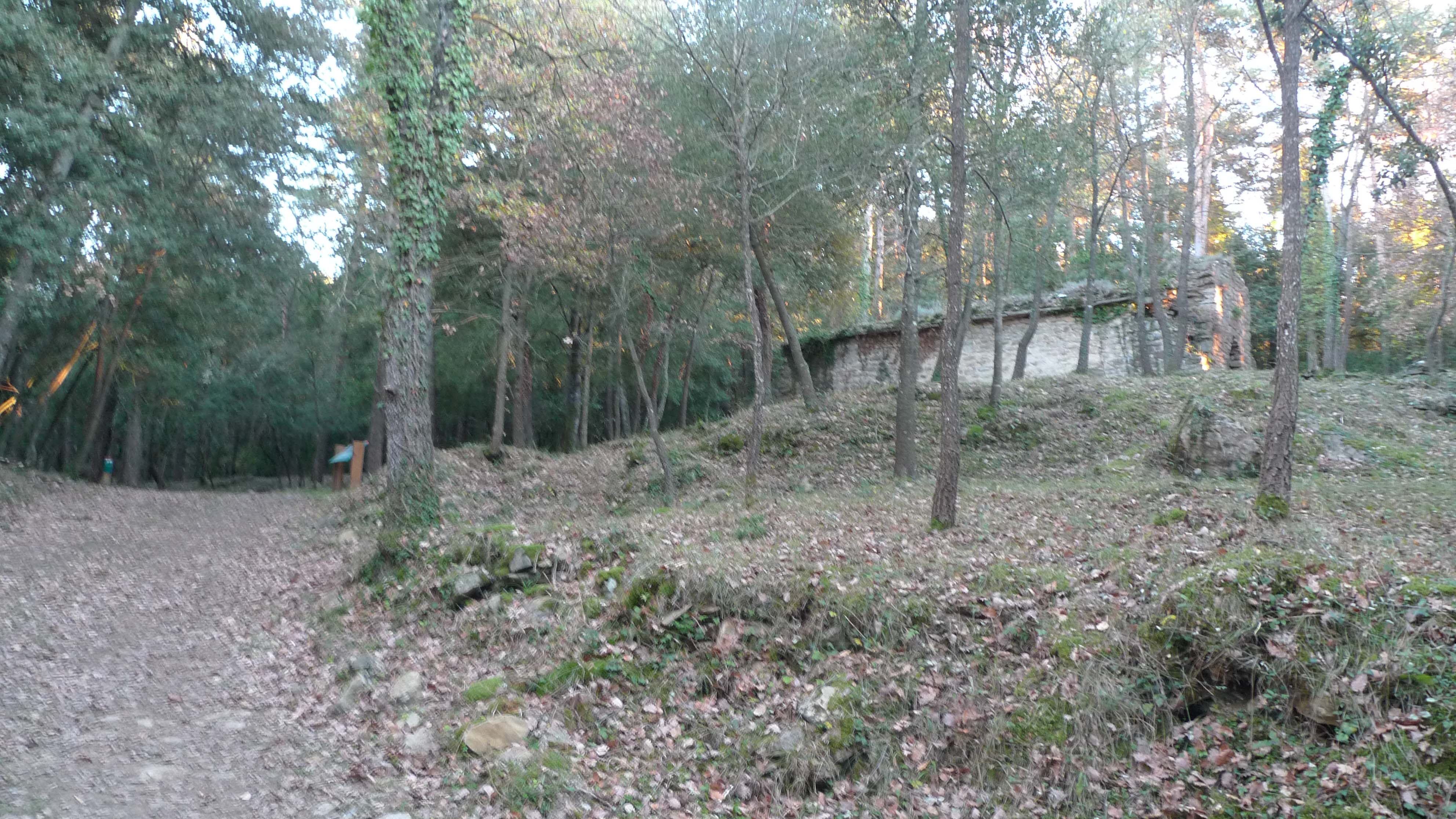Imatge del projecte