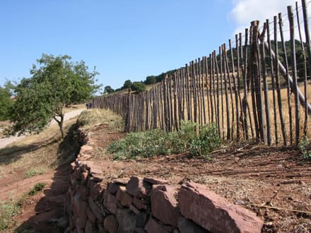 Imatge del projecte