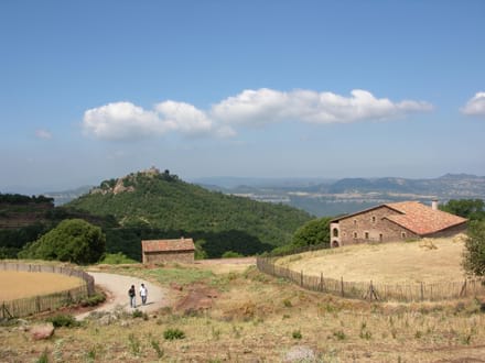 Fitxa del projecte Imatge del projecte