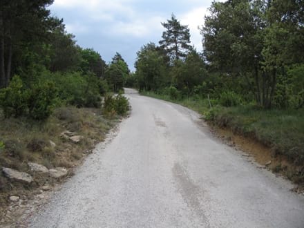 Fitxa del projecte Imatge del projecte