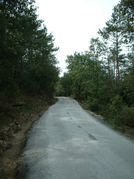 Imatge del projecte