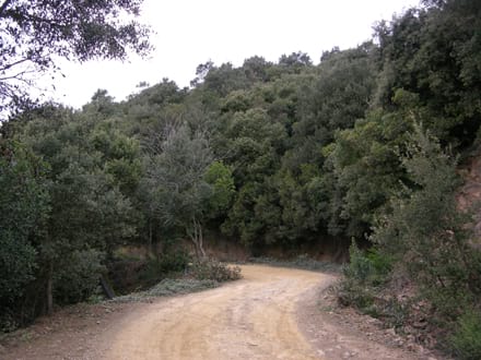 Fitxa del projecte Imatge del projecte
