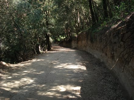 Fitxa del projecte Imatge del projecte