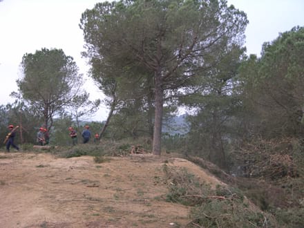 Imatge del projecte