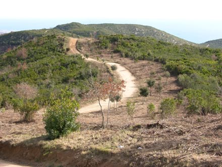 Fitxa del projecte Imatge del projecte