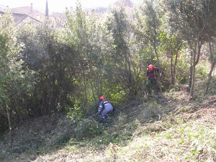 Imatge del projecte